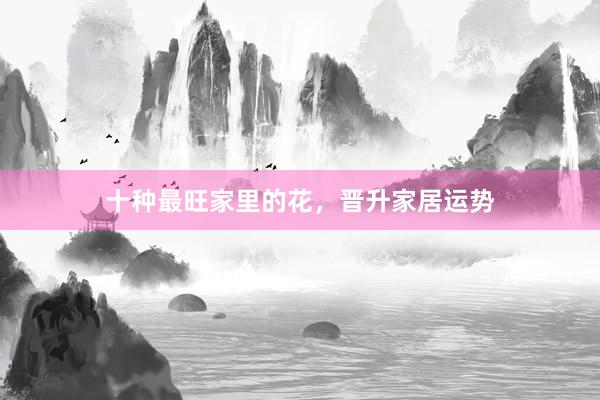十种最旺家里的花，晋升家居运势
