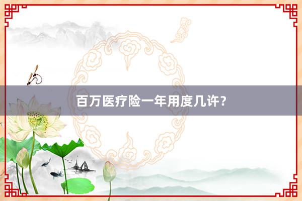 百万医疗险一年用度几许？