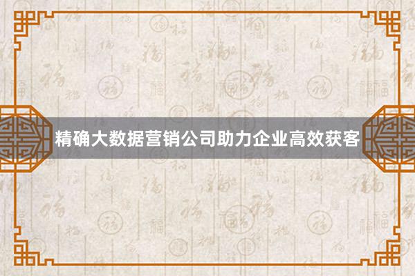 精确大数据营销公司助力企业高效获客
